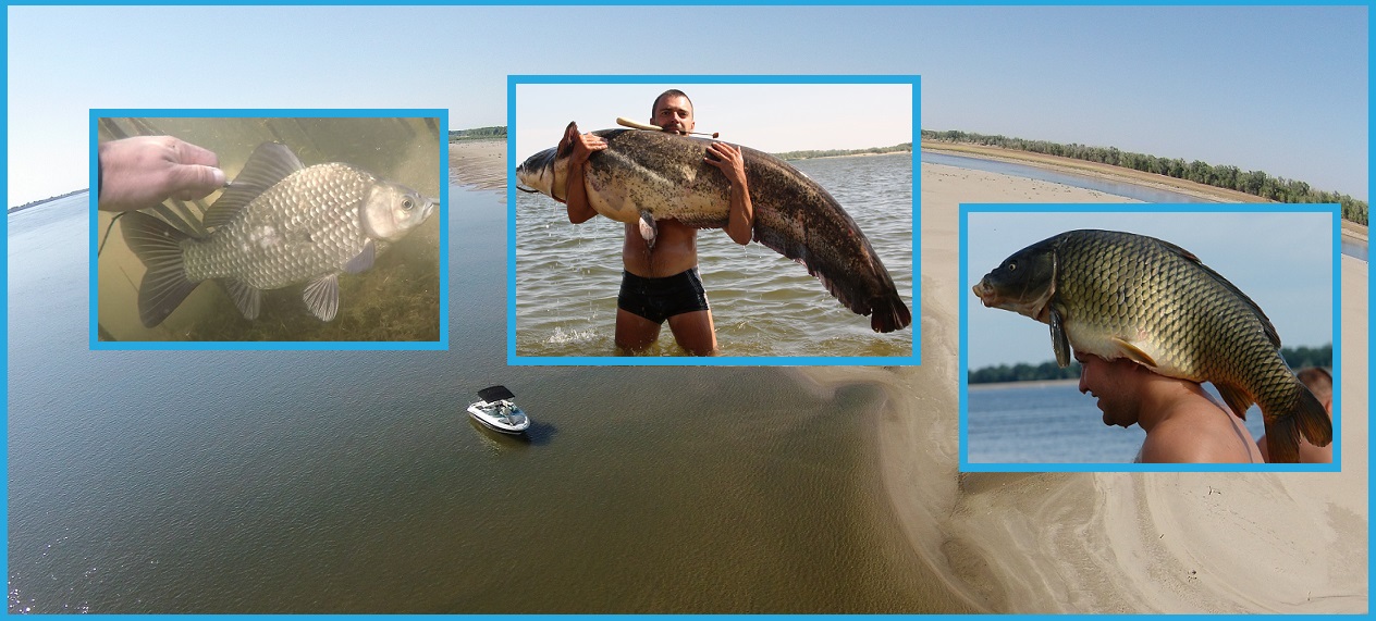 все о рыбалке